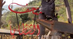 Musée Shazaya: des éclats d'obus aux éclats de vie