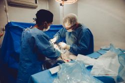 Pour la première fois, un foie de cochon a été implanté sur un humain