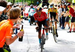 Buitrago remporte la 17e étape du Giro