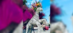 Diversité en fleurs sur la Grand-Place de Bruxelles