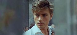 Alain Delon, légende du cinéma, s'éteint à 88 ans