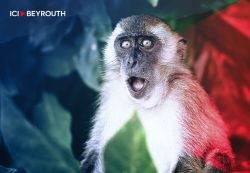 D’éventuels cas de variole du singe signalés au Liban