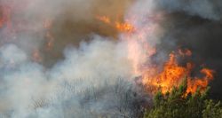 Limassol en flammes
