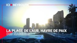 La plage de l’AUB, havre de paix des nageurs