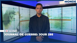 Journal de guerre: Jour 295