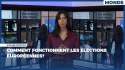 Comment fonctionnent les élections européennes?