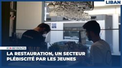 La restauration, un secteur plébiscité par les jeunes