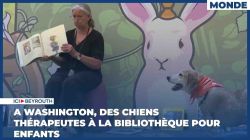 A Washington, des chiens thérapeutes à la bibliothèque pour enfants