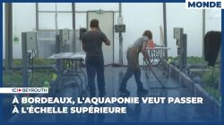 À Bordeaux, l'aquaponie veut passer à l'échelle supérieure