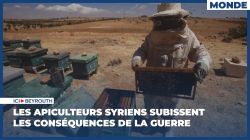 Les apiculteurs syriens subissent les conséquences de la guerre