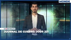 Journal de guerre: Jour 221