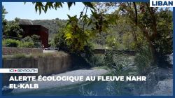 Alerte écologique au fleuve Nahr el-Kalb