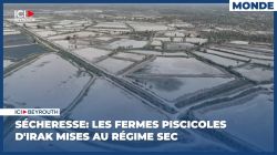 Sécheresse: les fermes piscicoles d'Irak mises au régime sec