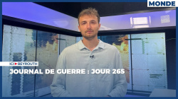 Journal de Guerre : Jour 265