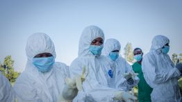 RDC : la lutte contre Ebola s’organise