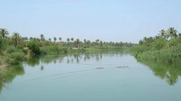 L’espoir renaît dans les rizières du sud de l’Irak