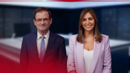 David Hale: Seule l'armée libanaise doit s'imposer au Liban-Sud