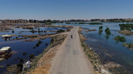 Dans l'est syrien, la crue de l'Euphrate emporte la récolte d'agriculteurs