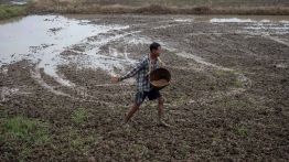 En Birmanie, la flambée des prix menace la prochaine saison agricole
