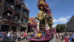 Pays-Bas: à Zundert, les dahlias deviennent des œuvres d’art