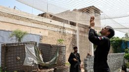 Pakistan: des filets de pêche contre les drones