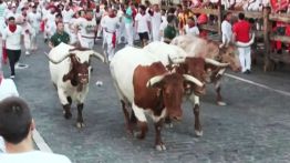 Les taureaux de San Fermín de retour