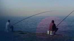 Les pêcheurs pris à la gorge par la hausse des coûts