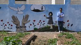 Daraya renaît des ruines