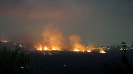 Liban-Sud: le bilan environnemental du conflit