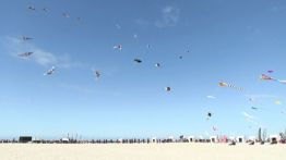 Berck-sur-Mer: le grand ballet des cerfs-volants est lancé