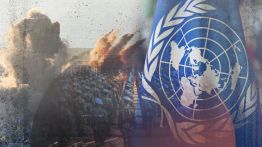 Chapitre VII: Une option sur la table?