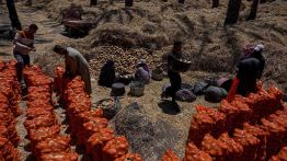 Égypte : la guerre au Moyen-Orient touche les champs
