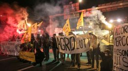 Mercosur: feu vert de l'UE, colère des agriculteurs