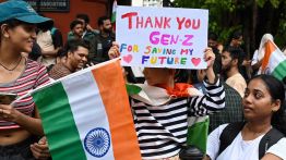 Inde: les «cafards» triomphent