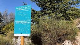 Le sentier des cèdres du roi Charles III ouvre au Liban