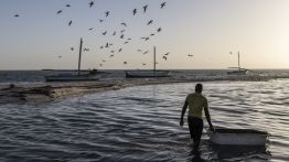 Mauritanie: les Imraguen, menacés par le changement climatique