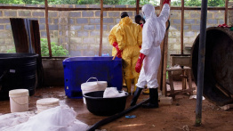 Méthamphétamine: le Nigeria casse un réseau d'envergure