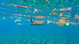 Microplastiques: cette menace invisible au Liban