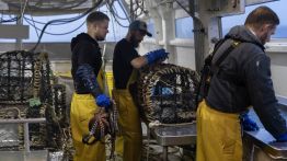 Pêche en crise: le gazole étrangle la Méditerranée