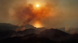 Catastrophe environnementale: des incendies ravagent la Syrie et la Turquie