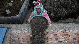 En Inde, les engrais naturels font leur retour