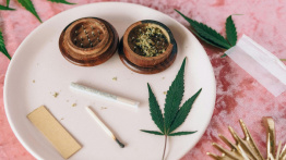 Quand le CBD tourne mal 