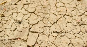 Sécheresse et climat extrême: les agriculteurs indiens à bout