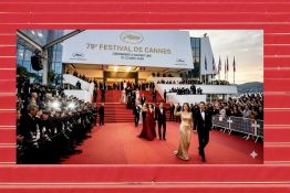 Pourquoi Cannes reste plus fort que l’algorithme