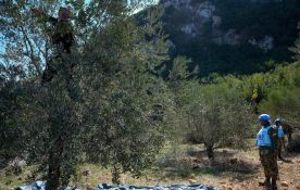 Guerre au Liban: 49.564 hectares de terres agricoles endommagés
