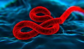 L'épidémie d'Ebola en RDC se propage plus rapidement, selon l'agence de santé de l'UA