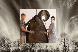 Capsula Mundi: et si on devenait un arbre après la mort? 
