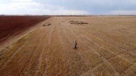La crise climatique frappe la Syrie: 16,3 millions de personnes menacées par l'insécurité alimentaire