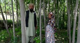 Afghanistan : le retour des forêts après des décennies de déforestation