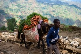 Union Africaine: Le conflit au Moyen-Orient «un risque grave» pour l'Afrique